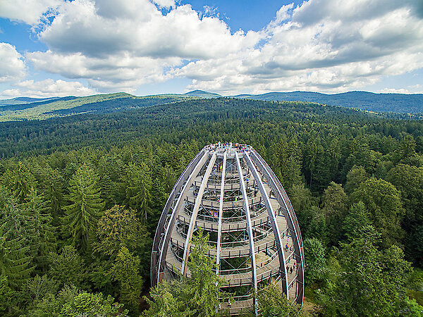 Baumwipfelpfad im Bayerischen Wald